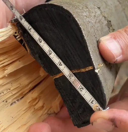 Laser obstacle clearing machine removes tall tree branches.